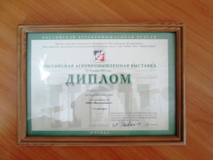 Diplom