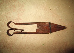 Nozhnizi